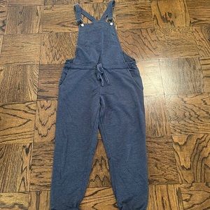 Z Supply Fabric Overalls